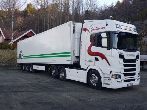 Transport av gods